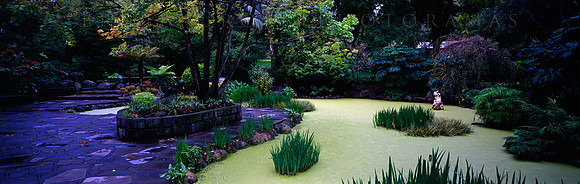 Fitzroy Garden - Fine Art Photography by Erwin Groen