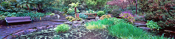 Garden Pond - Fine Art Photography by Erwin Groen