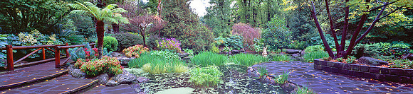 Fitzroy Garden Pond - Fine Art Photography by Erwin Groen
